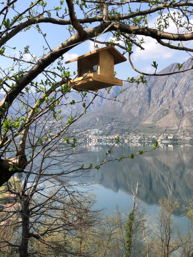 Milly Lake Claino Экстерьер фото